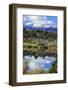 Lake Mistletoe on the Road from Te Anau to Milford Sound, South Island, New Zealand-Paul Dymond-Framed Photographic Print