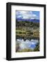 Lake Mistletoe on the Road from Te Anau to Milford Sound, South Island, New Zealand-Paul Dymond-Framed Photographic Print