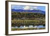 Lake Mistletoe on the Road from Te Anau to Milford Sound, South Island, New Zealand-Paul Dymond-Framed Photographic Print