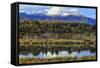 Lake Mistletoe on the Road from Te Anau to Milford Sound, South Island, New Zealand-Paul Dymond-Framed Stretched Canvas