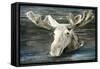 Lake Moose-Stellar Design Studio-Framed Stretched Canvas