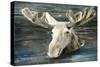 Lake Moose-Stellar Design Studio-Stretched Canvas