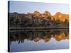 Lake, Mount Kenya National Park, Kenya-Martin Zwick-Stretched Canvas