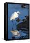 Lake Murray. San Diego, California. a Great Egret Prowling the Shore-Michael Qualls-Framed Stretched Canvas