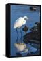 Lake Murray. San Diego, California. a Great Egret Prowling the Shore-Michael Qualls-Framed Stretched Canvas