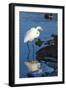 Lake Murray. San Diego, California. a Great Egret Prowling the Shore-Michael Qualls-Framed Photographic Print