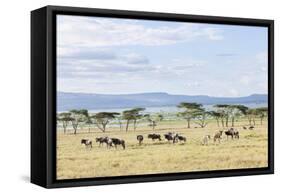 Lake Naivasha and Crescent Island Game Park, Naivasha, Kenya-Martin Zwick-Framed Stretched Canvas