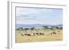 Lake Naivasha and Crescent Island Game Park, Naivasha, Kenya-Martin Zwick-Framed Photographic Print