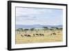 Lake Naivasha and Crescent Island Game Park, Naivasha, Kenya-Martin Zwick-Framed Photographic Print