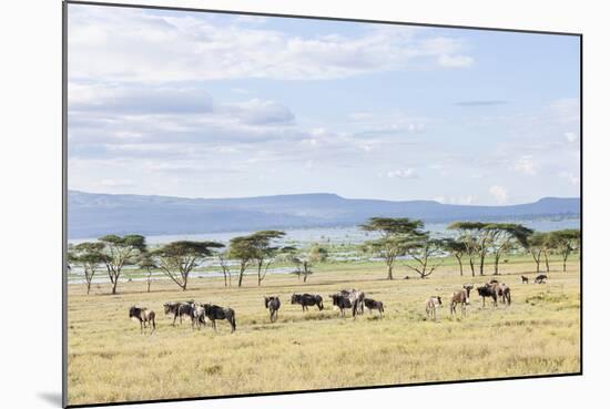 Lake Naivasha and Crescent Island Game Park, Naivasha, Kenya-Martin Zwick-Mounted Photographic Print