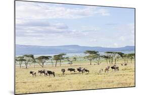 Lake Naivasha and Crescent Island Game Park, Naivasha, Kenya-Martin Zwick-Mounted Photographic Print