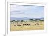 Lake Naivasha and Crescent Island Game Park, Naivasha, Kenya-Martin Zwick-Framed Photographic Print