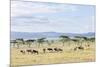 Lake Naivasha and Crescent Island Game Park, Naivasha, Kenya-Martin Zwick-Mounted Photographic Print