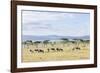 Lake Naivasha and Crescent Island Game Park, Naivasha, Kenya-Martin Zwick-Framed Photographic Print