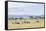 Lake Naivasha and Crescent Island Game Park, Naivasha, Kenya-Martin Zwick-Framed Stretched Canvas