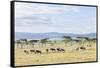 Lake Naivasha and Crescent Island Game Park, Naivasha, Kenya-Martin Zwick-Framed Stretched Canvas