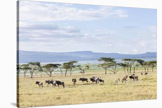 Lake Naivasha and Crescent Island Game Park, Naivasha, Kenya-Martin Zwick-Stretched Canvas