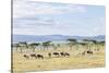 Lake Naivasha and Crescent Island Game Park, Naivasha, Kenya-Martin Zwick-Stretched Canvas