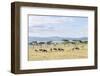 Lake Naivasha and Crescent Island Game Park, Naivasha, Kenya-Martin Zwick-Framed Photographic Print