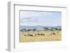 Lake Naivasha and Crescent Island Game Park, Naivasha, Kenya-Martin Zwick-Framed Photographic Print