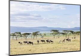 Lake Naivasha and Crescent Island Game Park, Naivasha, Kenya-Martin Zwick-Mounted Photographic Print