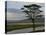 Lake Nakuru National Park, Kenya, East Africa, Africa-Groenendijk Peter-Stretched Canvas