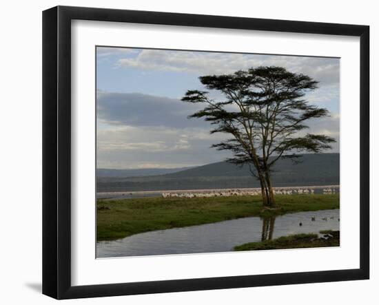 Lake Nakuru National Park, Kenya, East Africa, Africa-Groenendijk Peter-Framed Photographic Print