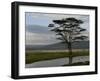 Lake Nakuru National Park, Kenya, East Africa, Africa-Groenendijk Peter-Framed Photographic Print