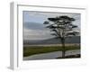 Lake Nakuru National Park, Kenya, East Africa, Africa-Groenendijk Peter-Framed Photographic Print