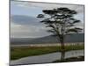 Lake Nakuru National Park, Kenya, East Africa, Africa-Groenendijk Peter-Mounted Photographic Print