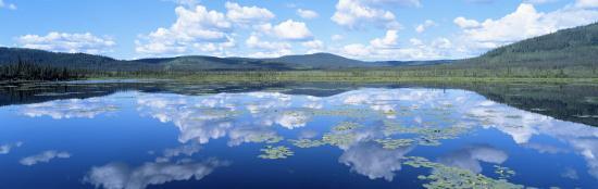 Photographic Print, , large
