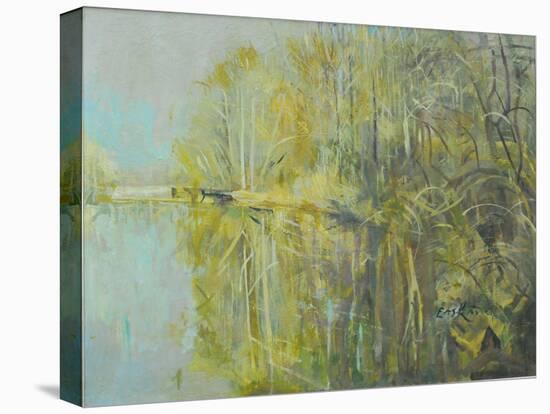 Lake Near Nieuwleusen-John Erskine-Stretched Canvas