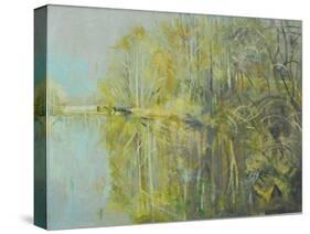 Lake Near Nieuwleusen-John Erskine-Stretched Canvas