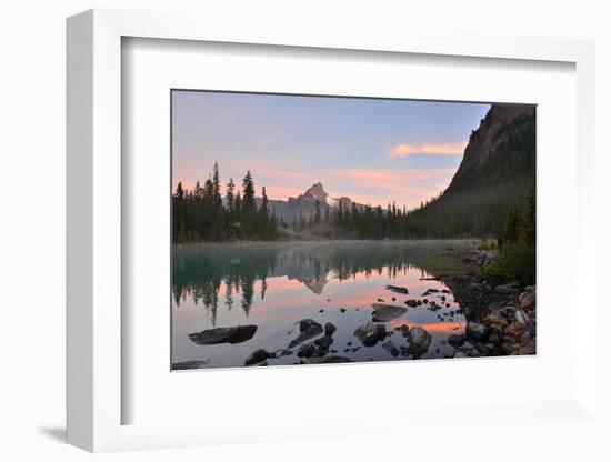 Lake O'hara and Cathedral Mountain at Sunrise, Yoho National Park, Canada-Lijuan Guo-Framed Photographic Print