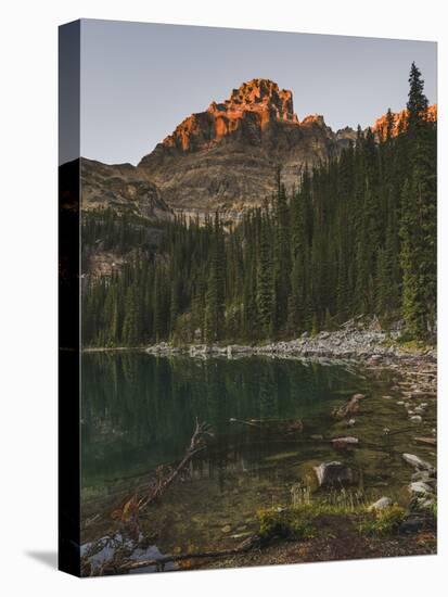 Lake O'Hara at sunset, Yoho National Park, UNESCO World Heritage Site, British Columbia, Canadian R-JIA HE-Stretched Canvas