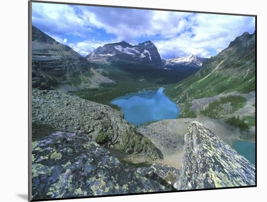 Lake O'Hara, Yoho National Park, British Columbia, Canada-Rob Tilley-Mounted Premium Photographic Print
