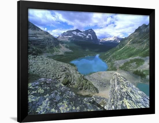 Lake O'Hara, Yoho National Park, British Columbia, Canada-Rob Tilley-Framed Photographic Print