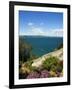 Lake of Bolsena, View from Capodimonte, Viterbo, Lazio, Italy, Europe-Tondini Nico-Framed Photographic Print