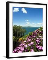 Lake of Bolsena, View from Capodimonte, Viterbo, Lazio, Italy, Europe-Tondini Nico-Framed Photographic Print