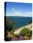 Lake of Bolsena, View from Capodimonte, Viterbo, Lazio, Italy, Europe-Tondini Nico-Stretched Canvas