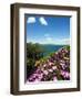 Lake of Bolsena, View from Capodimonte, Viterbo, Lazio, Italy, Europe-Tondini Nico-Framed Photographic Print