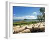 Lake of Bolsena, View from San Magno Area, Viterbo, Latium, Italy-Nico Tondini-Framed Premium Photographic Print