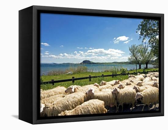 Lake of Bolsena, View from San Magno Area, Viterbo, Latium, Italy-Nico Tondini-Framed Stretched Canvas