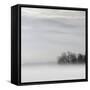 Lake of Fog-Nicholas Bell-Framed Stretched Canvas