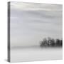 Lake of Fog-Nicholas Bell-Stretched Canvas