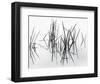 Lake of Two Rivers-Andrew Ren-Framed Giclee Print