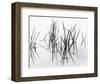 Lake of Two Rivers-Andrew Ren-Framed Giclee Print