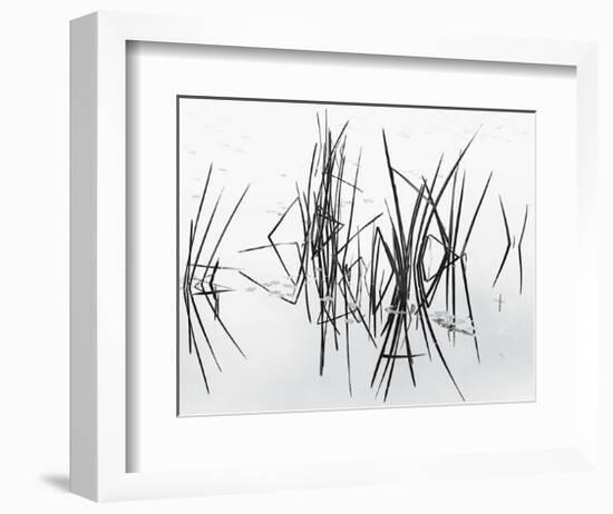 Lake of Two Rivers-Andrew Ren-Framed Giclee Print