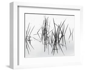 Lake of Two Rivers-Andrew Ren-Framed Giclee Print