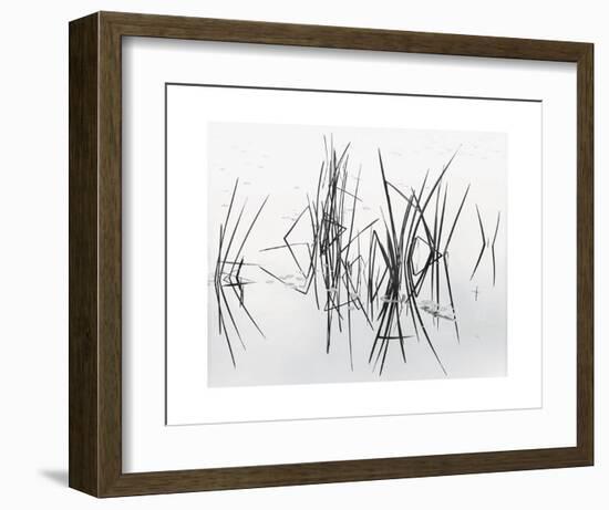 Lake of Two Rivers-Andrew Ren-Framed Art Print